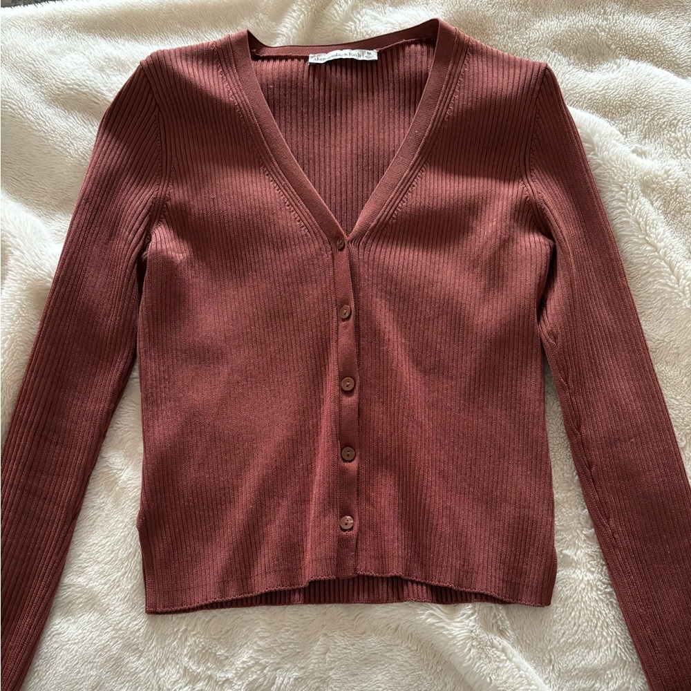 Abercrombie Brown Glossy Slim Cardigan